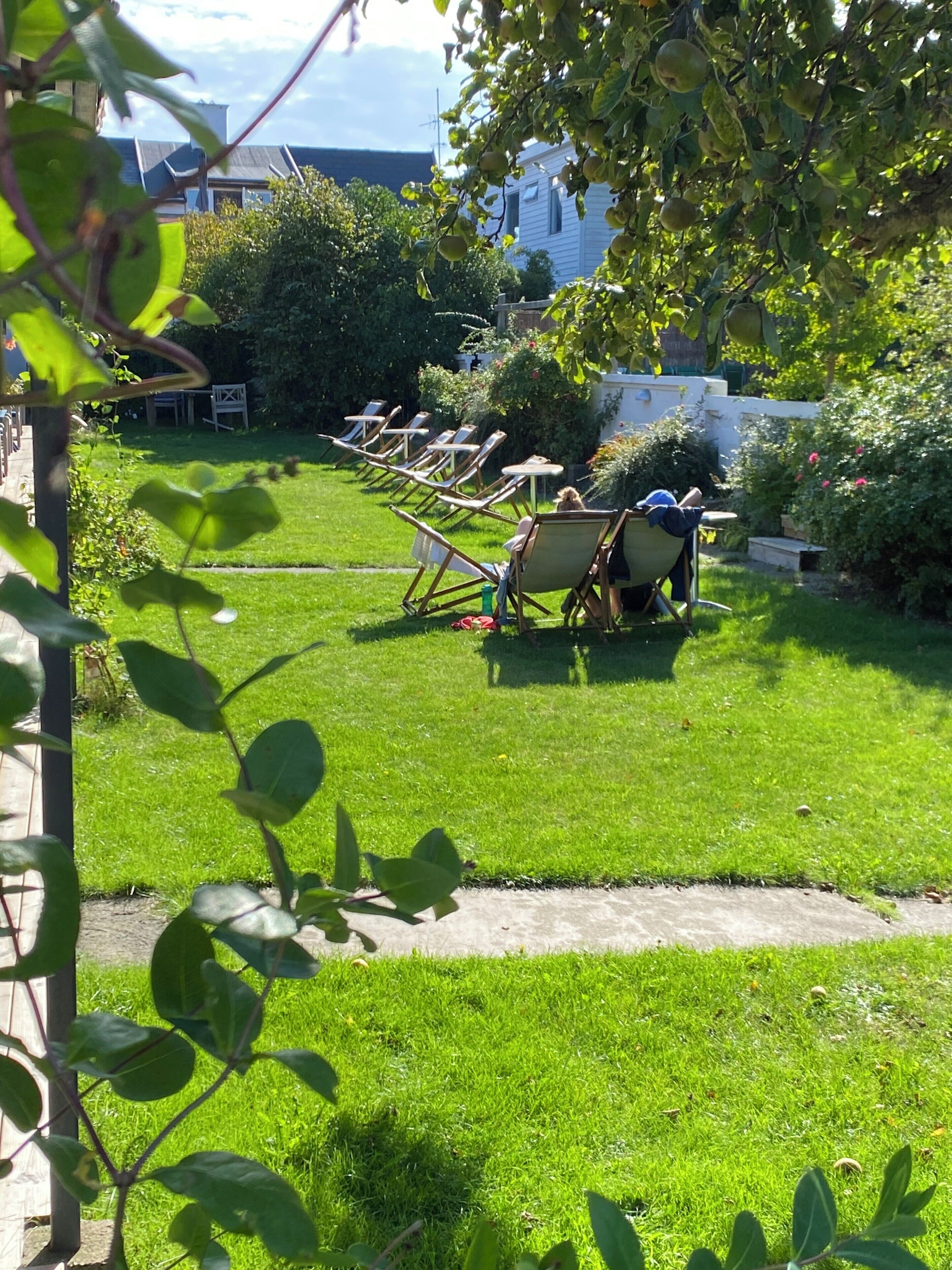 Un espacio al aire libre con césped y varias sillas de jardín dispuestas en filas.