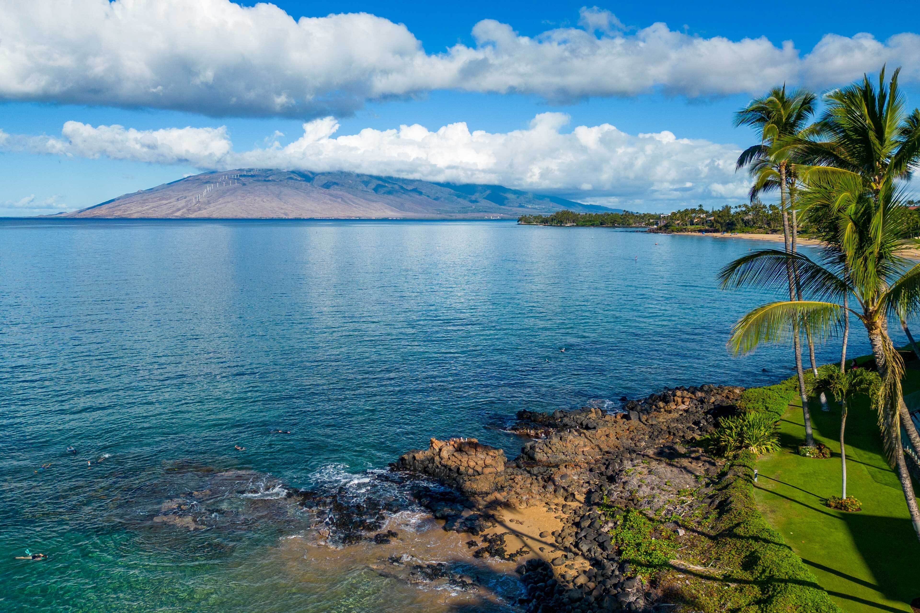 Un paysage côtier offrant une vue dégagée sur la mer, avec une montagne en arrière-plan et une zone herbeuse parsemée de palmiers.