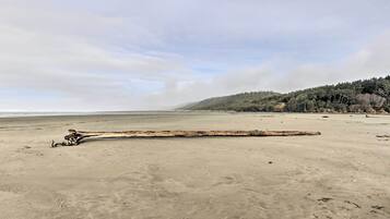 Apartment (0 Bedroom) | Interior