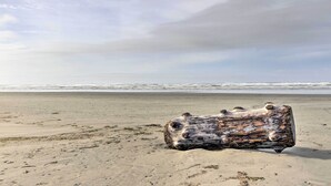 A log on a sandy beach with the ocean in the background. - Sandy Toes Loft w/ Ocean Views in Moclips! (Moclips)