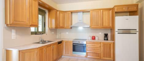 Fridge, oven, stovetop, dishwasher