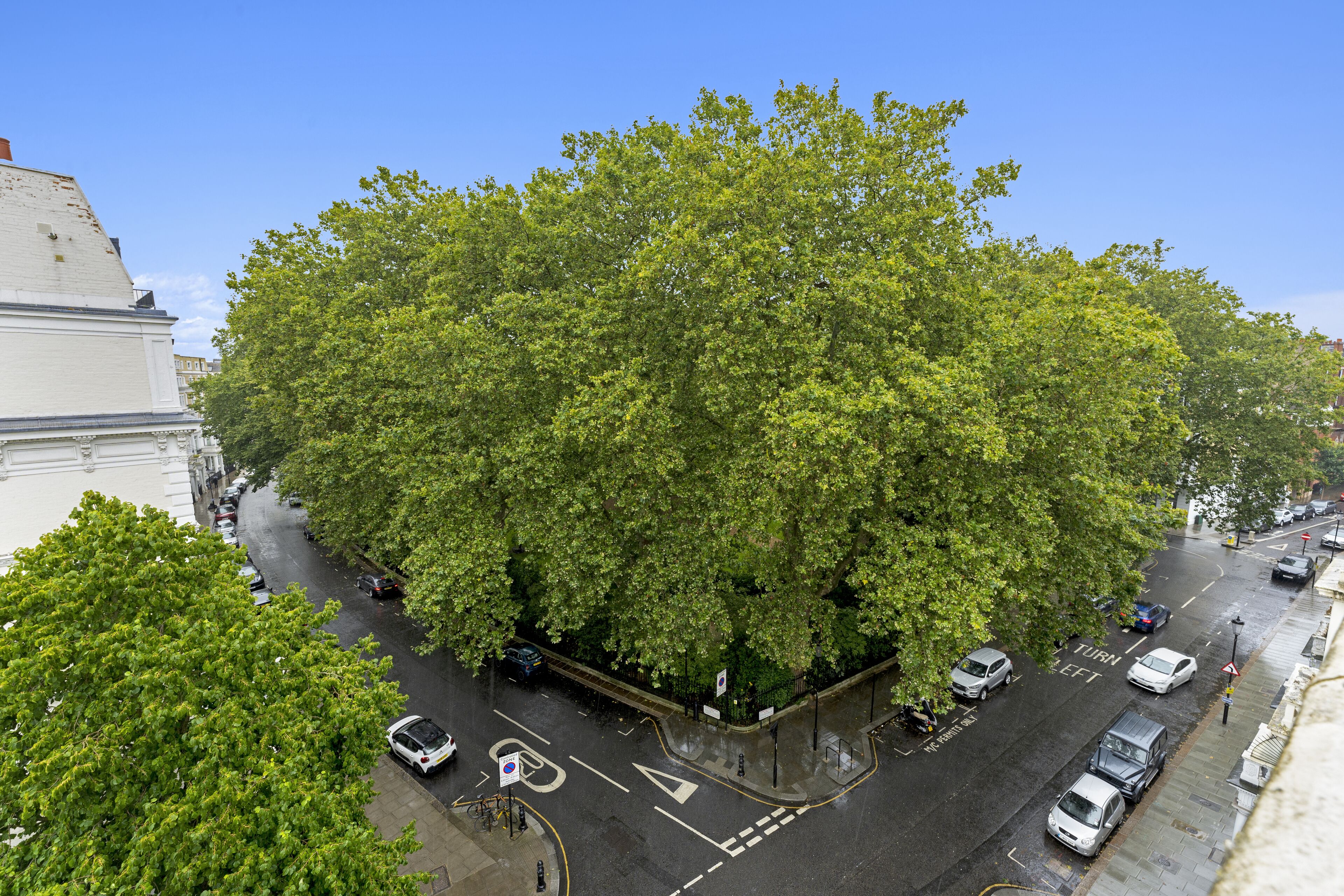 A tree-lined street with parked cars and a building with classical architecture.