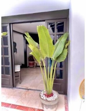 Exterior detail - The View Hostel & Lounge (Cali)