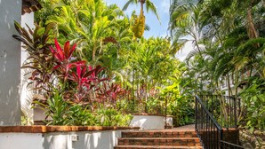 A staircase leading up to a building, surrounded by lush tropical plants and a white wall.