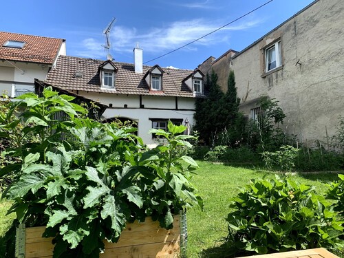 Gemütliche 2-Zimmer-Wohnung, großer Garten, zentral gelegen