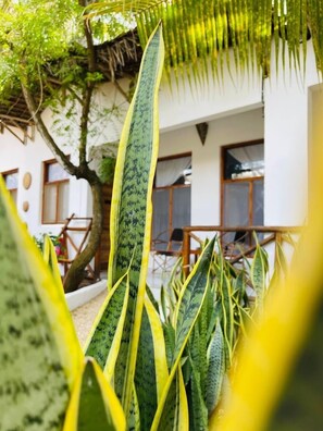 Deluxe Quadruple Room | Terrace/patio - Babalao Bungalows (Nungwi)