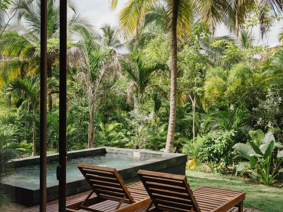 Una terraza de madera con dos sillones de descanso y una piscina pequeña, con vistas a un jardín exuberante con palmeras.