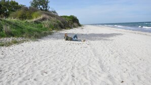 Una playa arenosa con una persona acostada, rodeada de vegetación y el océano al fondo.