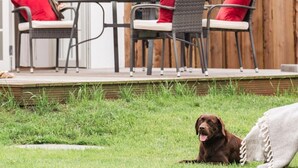 An outdoor patio with a table and chairs, a dog lying on the grass, and a wooden fence in the background.
