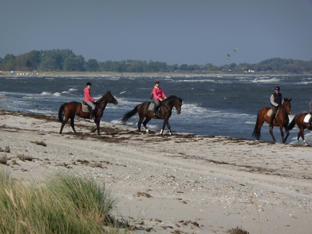 A beach with horses and riders.