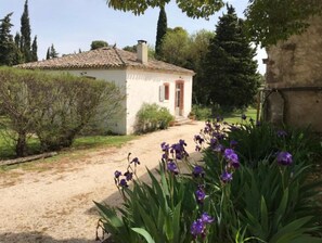 Property grounds - Pavillon de Villefrancou (Val-de-Dagne)