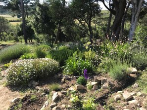 Jardines del alojamiento