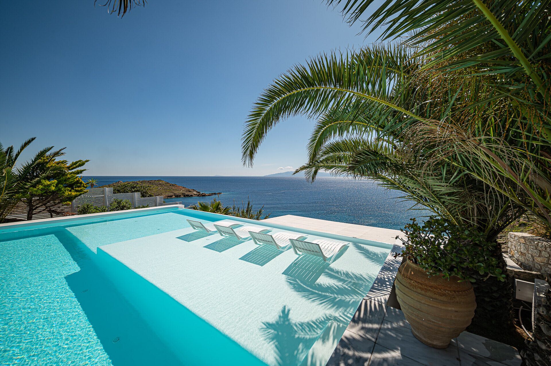 Une piscine avec des chaises longues, une grande plante en pot et une vue sur la mer.