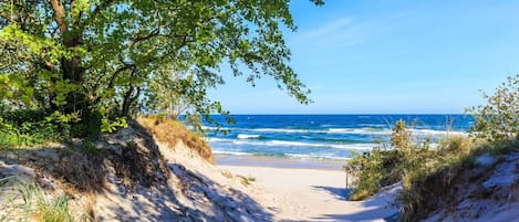 Una spiaggia nelle vicinanze, lettini da mare