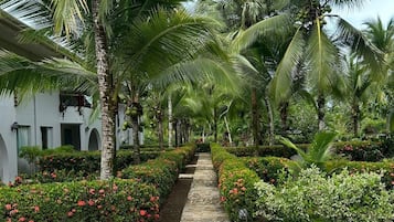 Zwembad