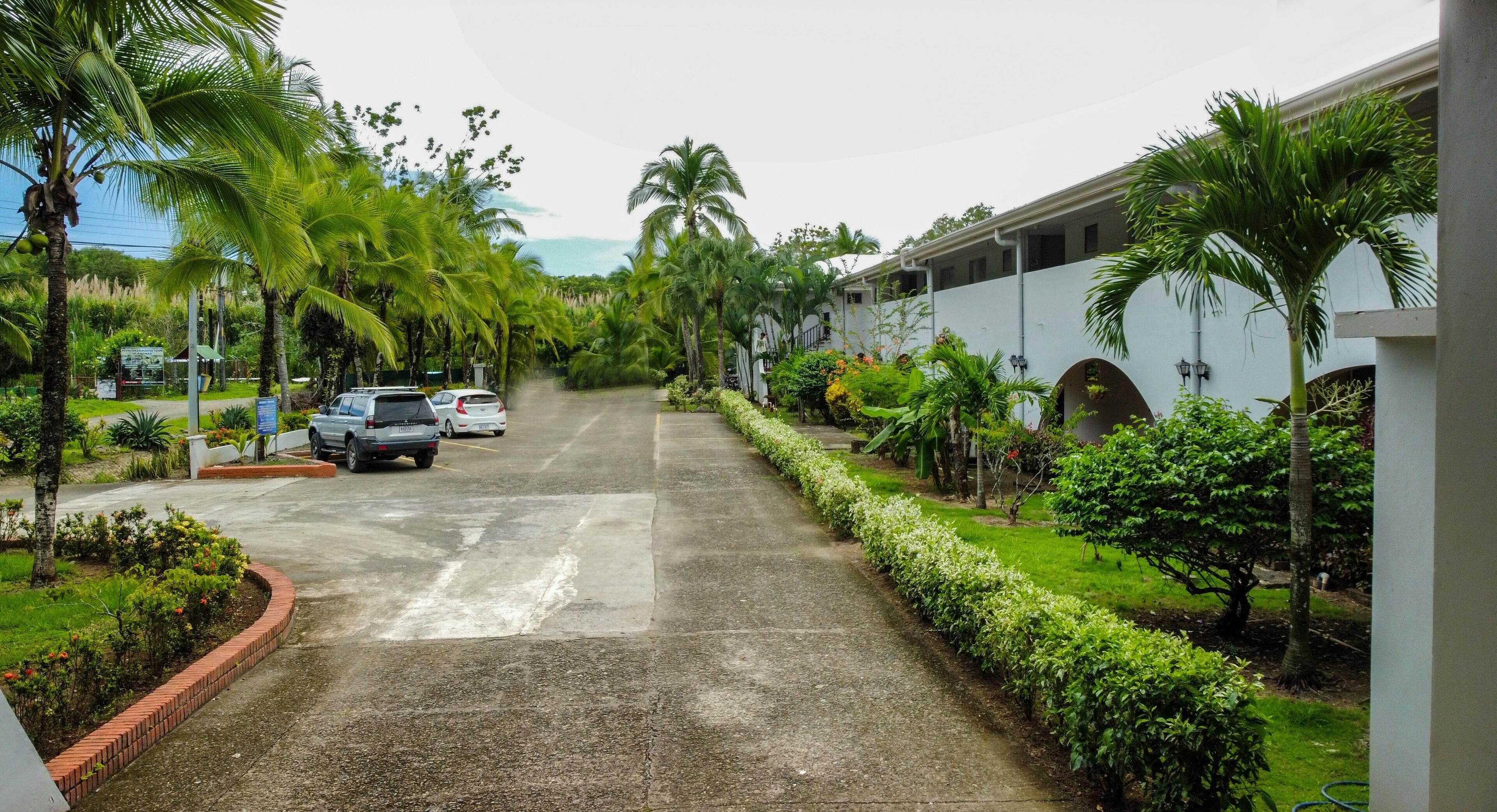 A paved road lined with palm trees and a building with a white facade and arched windows.