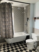 Deluxe Plus Double Room | Bathroom | Combined shower/tub, free toiletries, hair dryer, towels