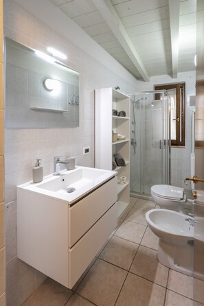 Shower, hair dryer, bidet, towels