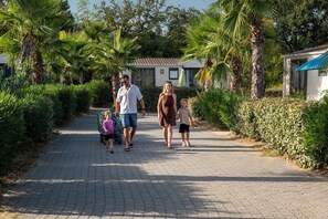 A paved pathway lined with palm trees and greenery, leading to a building with a tiled roof.