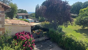 A residential property with a swimming pool, garden, and a large tree.