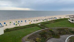 Ein Strand mit Reihen von Liegestühlen und Sonnenschirmen, einer Rasenfläche und einem Gebäude im Hintergrund.
