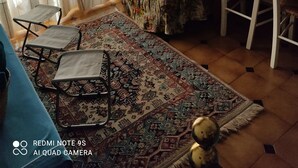 Una sala de estar acogedora con un sofá, una mesita, un tapete estampado y una butaca.