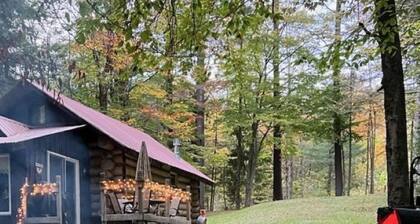 Cabin in the ADK! Close the Great Sacandaga, Lapland Lake & Snowmobile Trails!