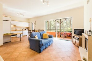 TV, fireplace