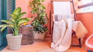 Una habitación acogedora con un caballete de madera, una toalla blanca y dos plantas en macetas.
