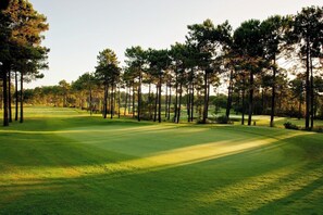 Un parcours de golf avec un terrain verdoyant bien entretenu, de grands pins et un ciel dégagé.