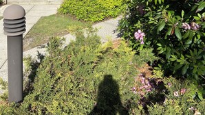A wooden house with stone steps, a stone wall, and a mailbox. - Pool open beyond Labor Day! Enjoy the quiet! (Champion)