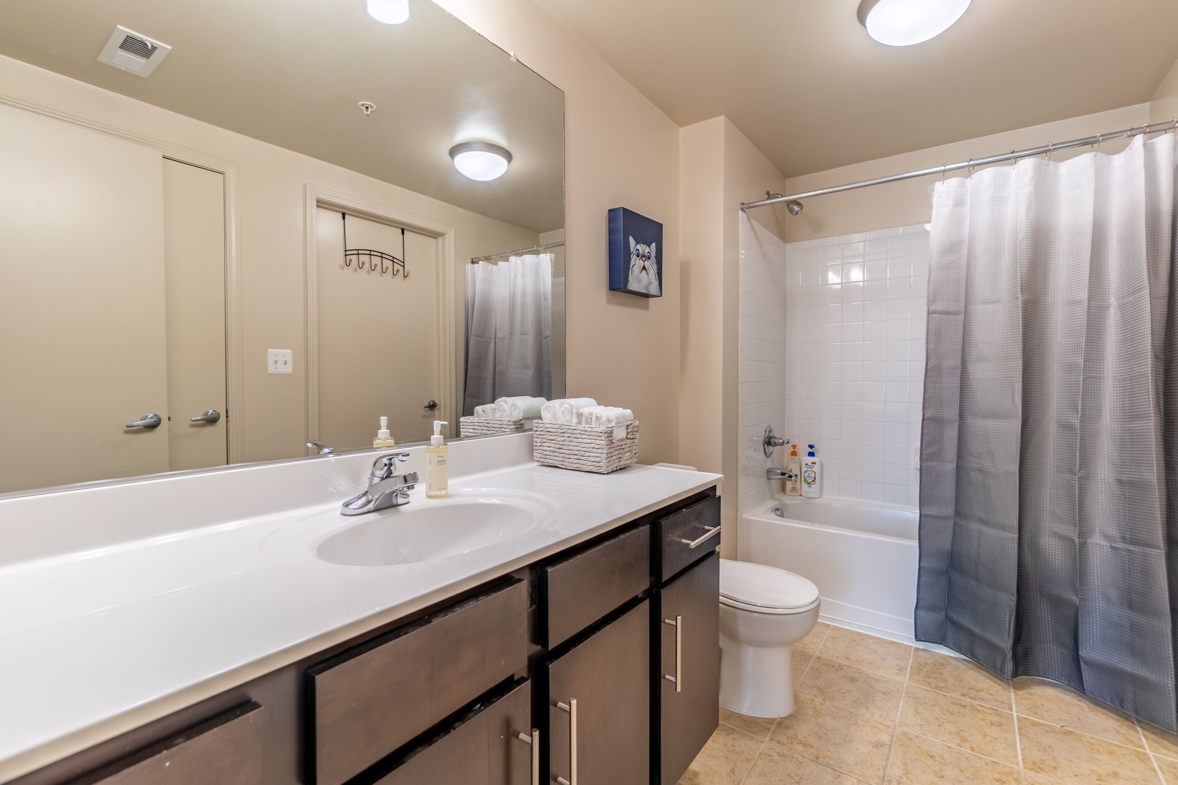 Hair dryer, towels, soap, shampoo