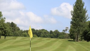 A golf course with a flagstick in the foreground, surrounded by well-manicured grass and trees. - Cosy Barn Conversion in the Mournes (Newry)