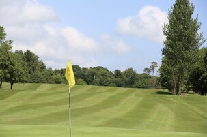 A golf course with a flagstick in the foreground, surrounded by well-manicured grass and trees.