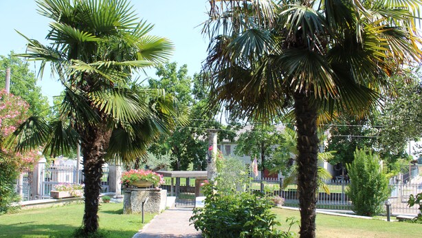 A pathway leading through a garden with palm trees and flowering plants. - B&B VILLA VERONA BIKE (Buttapietra)