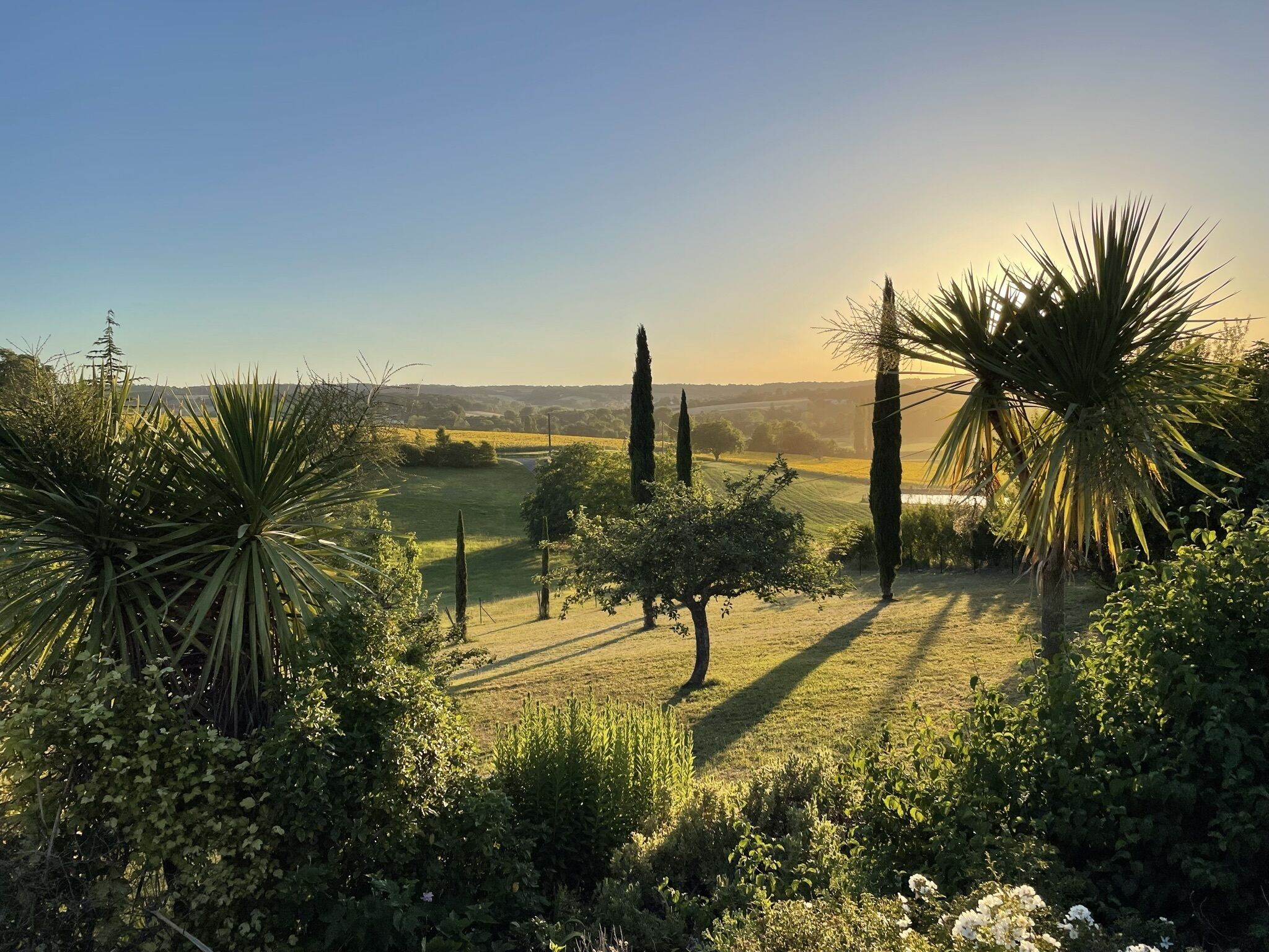 View down from house - from Master bedroom