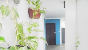 A hallway with potted plants on the walls, a blue door at the end, and a tiled floor. - Central and Private 1km From the Hacienda Naples (Antioquia)