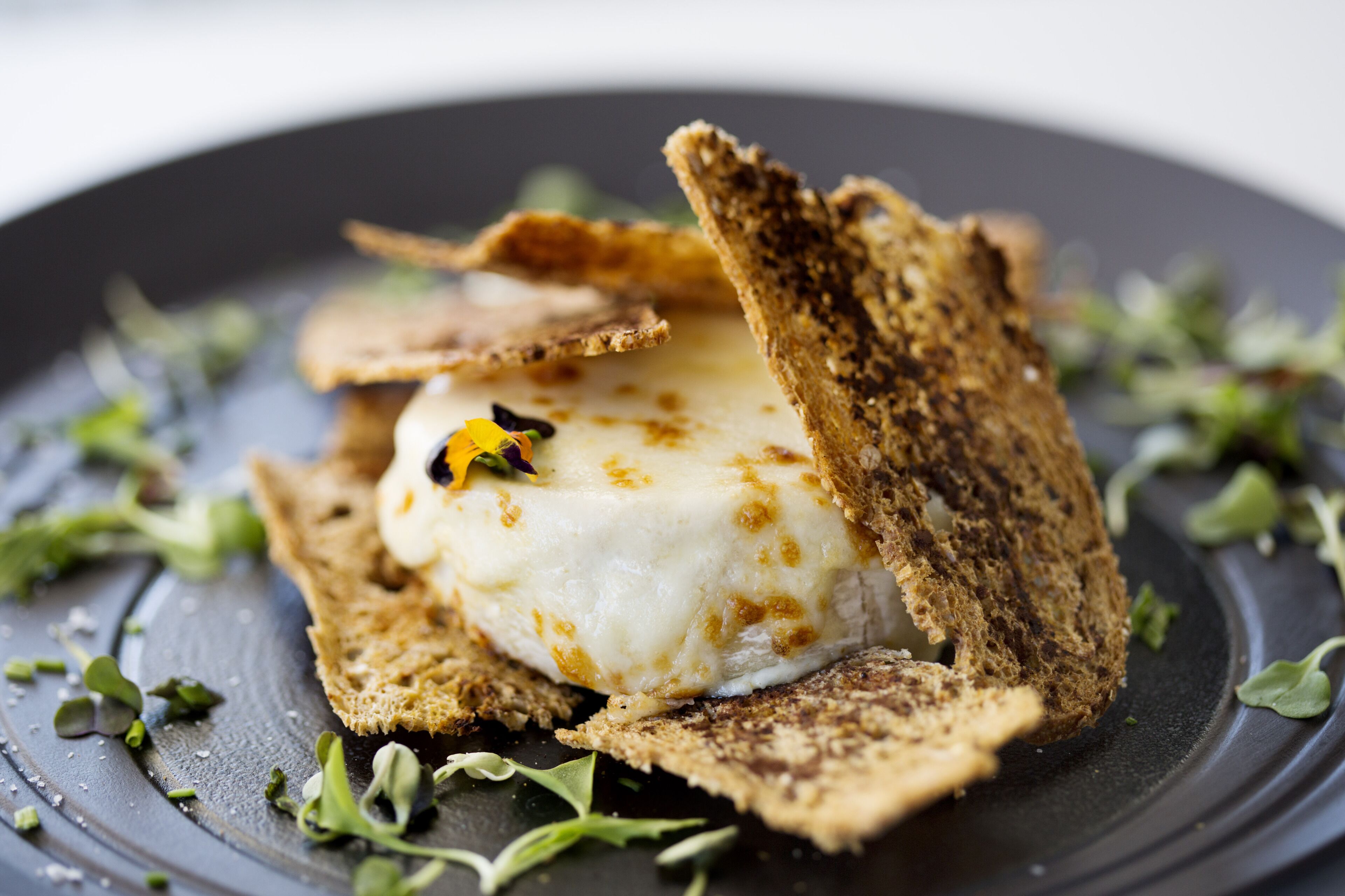 Foto - Hotel SB Win 4 Sup