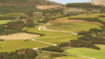 A winding road through a hilly landscape with green fields and rocky outcrops.