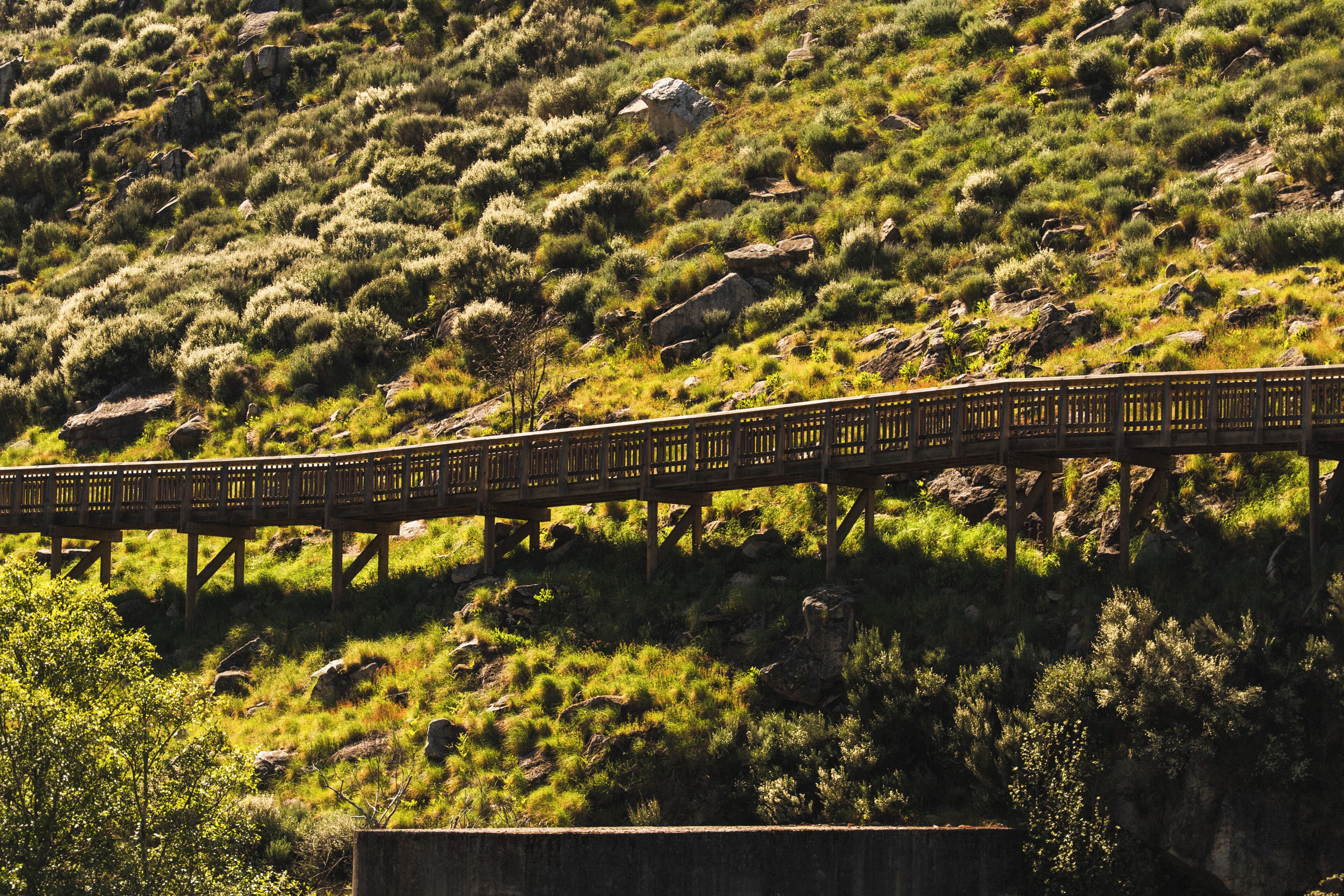 A wooden bridge over a grassy hill with rocks.