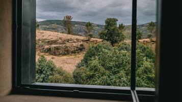 Una ventana con vista a un paisaje montañoso con árboles y arbustos.