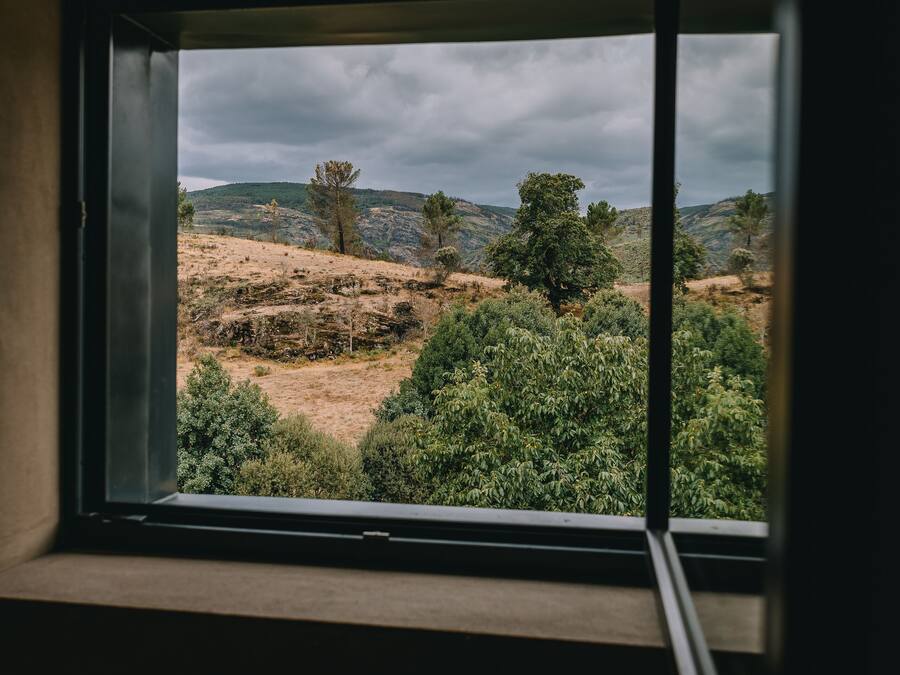 Una ventana con vista a un paisaje montañoso con árboles y arbustos.