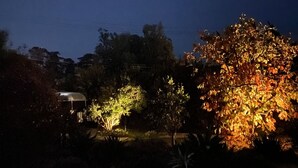 Een nachtelijke buitenlandschap met bomen die verlicht zijn door kunstlicht, een overdekte constructie en een heldere lucht.