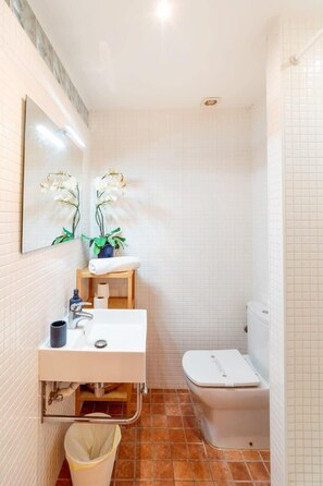 A bathroom with a white sink, toilet, and a trash bin.