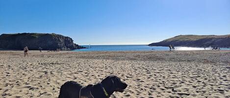 Una spiaggia nelle vicinanze