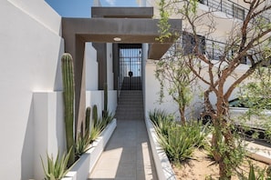 Stroll through the desert landscape to a sleek, modern entrance, flanked by native cacti and agave.