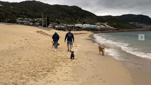 Una playa con gente y perros caminando por la orilla.