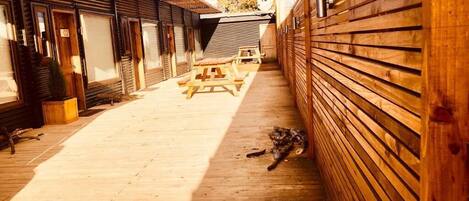 Terras
