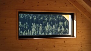 Una ventana con vista a un bosque frondoso.