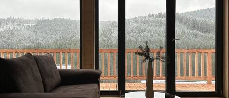 Smart TV, fireplace, stereo